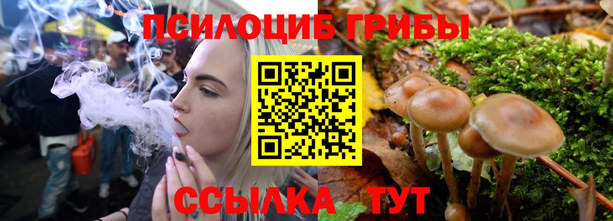 Галлюциногенные грибы ЛСД Тайшет