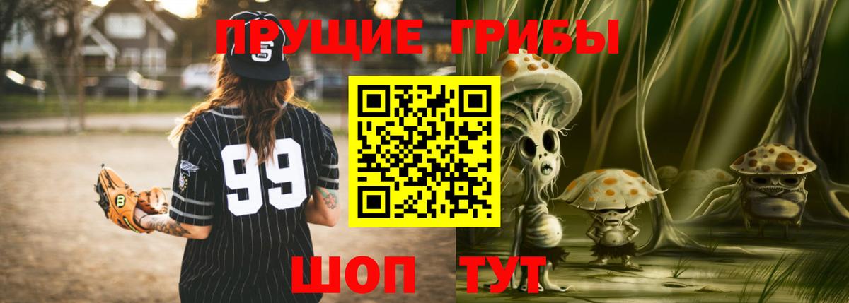 Тайшет  Псилоцибиновые грибы ЛСД  Вход с VPN 